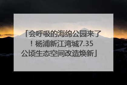 会呼吸的海绵公园来了！杨浦新江湾城7.35公顷生态空间改造焕新