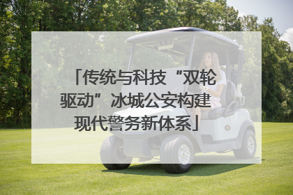 传统与科技“双轮驱动”冰城公安构建现代警务新体系