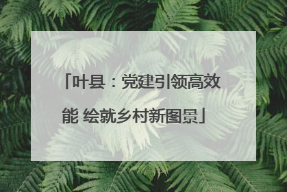 叶县：党建引领高效能 绘就乡村新图景