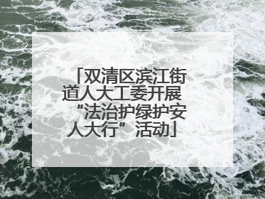 双清区滨江街道人大工委开展“法治护绿护安人大行”活动
