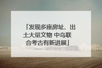 发现多座房址、出土大量文物 中乌联合考古有新进展