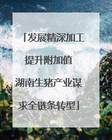 发展精深加工 提升附加值 湖南生猪产业谋求全链条转型