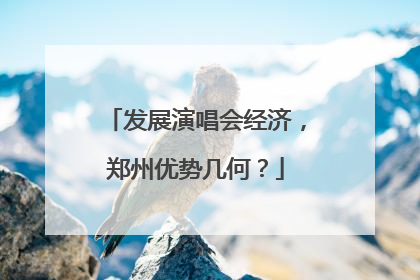 发展演唱会经济，郑州优势几何？