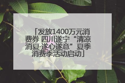 发放1400万元消费券 四川遂宁“清凉消夏·遂心遂意”夏季消费季活动启动