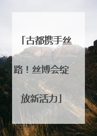 古都携手丝路！丝博会绽放新活力