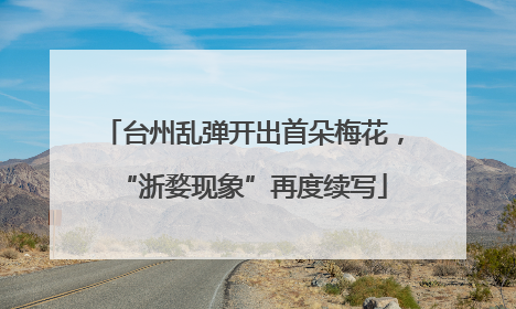 台州乱弹开出首朵梅花，“浙婺现象”再度续写