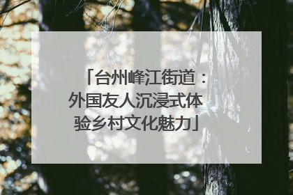 台州峰江街道：外国友人沉浸式体验乡村文化魅力