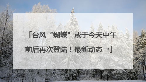 台风“蝴蝶”或于今天中午前后再次登陆！最新动态→