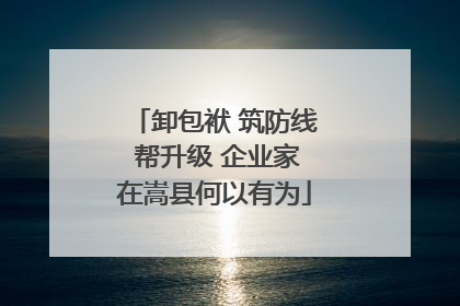 卸包袱 筑防线 帮升级 企业家在嵩县何以有为