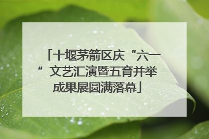 十堰茅箭区庆“六一”文艺汇演暨五育并举成果展圆满落幕