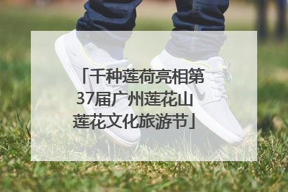 千种莲荷亮相第37届广州莲花山莲花文化旅游节