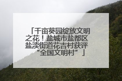 千亩葵园绽放文明之花！盐城市盐都区盐渎街道花吉村获评“全国文明村”