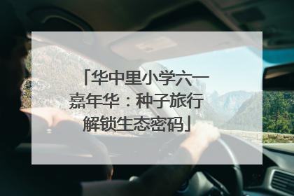 华中里小学六一嘉年华：种子旅行解锁生态密码