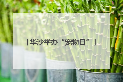 华沙举办“宠物日”