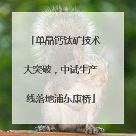 单晶钙钛矿技术大突破，中试生产线落地浦东康桥