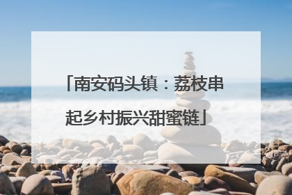 南安码头镇：荔枝串起乡村振兴甜蜜链