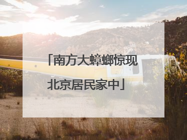 南方大蟑螂惊现北京居民家中