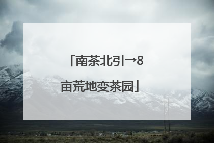 南茶北引→8亩荒地变茶园