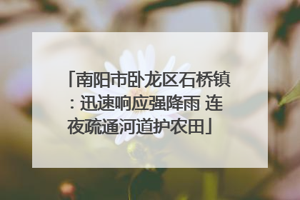 南阳市卧龙区石桥镇：迅速响应强降雨 连夜疏通河道护农田