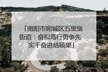 南阳市宛城区五里堡街道：奋楫笃行勇争先 实干奋进结硕果
