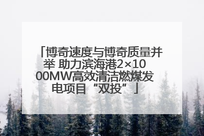 博奇速度与博奇质量并举 助力滨海港2×1000MW高效清洁燃煤发电项目“双投”