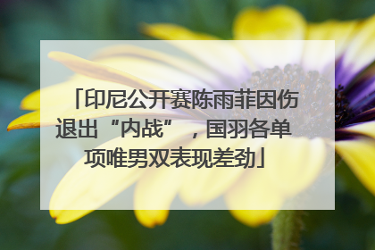 印尼公开赛陈雨菲因伤退出“内战”，国羽各单项唯男双表现差劲