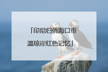 印尼归侨海口重温琼崖红色记忆