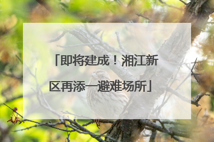 即将建成！湘江新区再添一避难场所