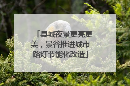 县城夜景更亮更美，景谷推进城市路灯节能化改造