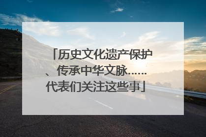 历史文化遗产保护、传承中华文脉……代表们关注这些事
