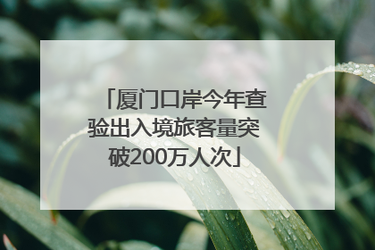 厦门口岸今年查验出入境旅客量突破200万人次