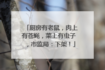 厨房有老鼠，肉上有苍蝇，菜上有虫子，市监局：下架！