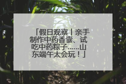 假日观察丨亲手制作中药香囊、试吃中药粽子……山东端午太会玩！