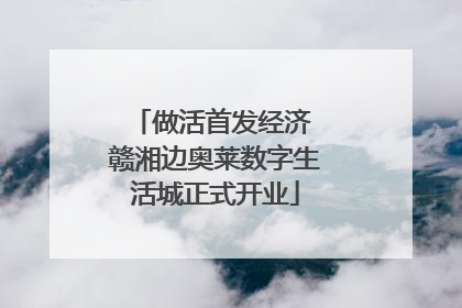 做活首发经济 赣湘边奥莱数字生活城正式开业