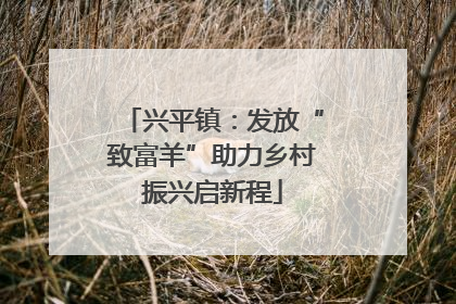 兴平镇：发放“致富羊”助力乡村振兴启新程