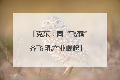 克东：同“飞鹤”齐飞 乳产业崛起