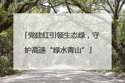 党建红引领生态绿，守护高速“绿水青山”