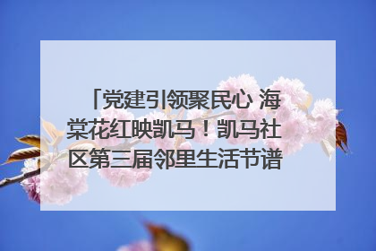 党建引领聚民心 海棠花红映凯马！凯马社区第三届邻里生活节谱写幸福新篇章