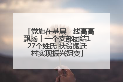 党旗在基层一线高高飘扬丨一个支部团结127个姓氏 扶贫搬迁村实现振兴嬗变