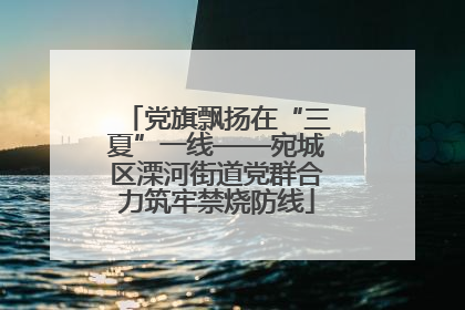 党旗飘扬在“三夏”一线——宛城区溧河街道党群合力筑牢禁烧防线