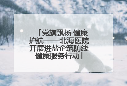 党旗飘扬·健康护航——北海医院开展进盐企筑防线健康服务行动