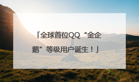 全球首位QQ“金企鹅”等级用户诞生！
