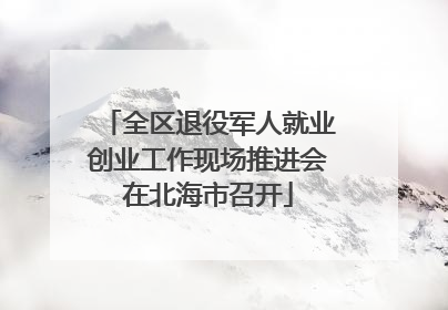 全区退役军人就业创业工作现场推进会在北海市召开
