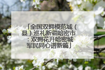 全国双拥模范城（县）巡礼新疆哈密市：双拥花开哈密城 军民同心谱新篇