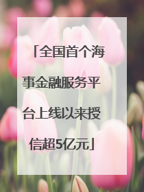 全国首个海事金融服务平台上线以来授信超5亿元