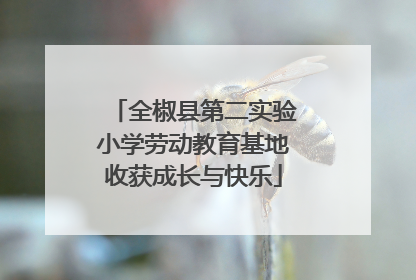 全椒县第二实验小学劳动教育基地收获成长与快乐