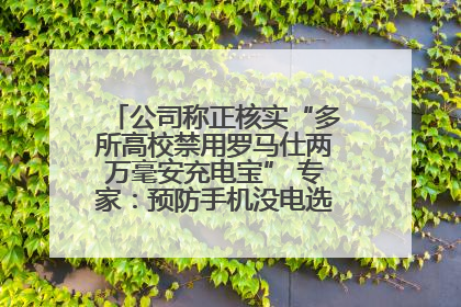 公司称正核实“多所高校禁用罗马仕两万毫安充电宝” 专家：预防手机没电选中等体积产品即可