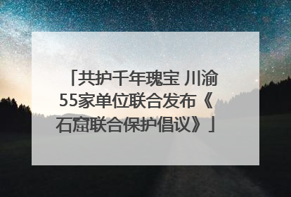 共护千年瑰宝 川渝55家单位联合发布《石窟联合保护倡议》