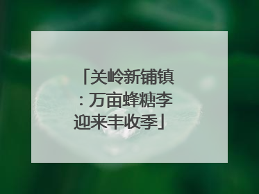 关岭新铺镇：万亩蜂糖李迎来丰收季