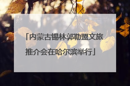 内蒙古锡林郭勒盟文旅推介会在哈尔滨举行
